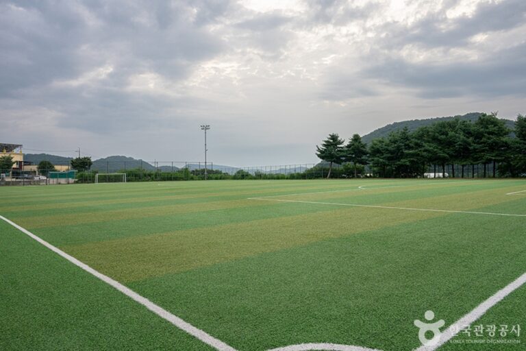 [경기] 파평체육공원