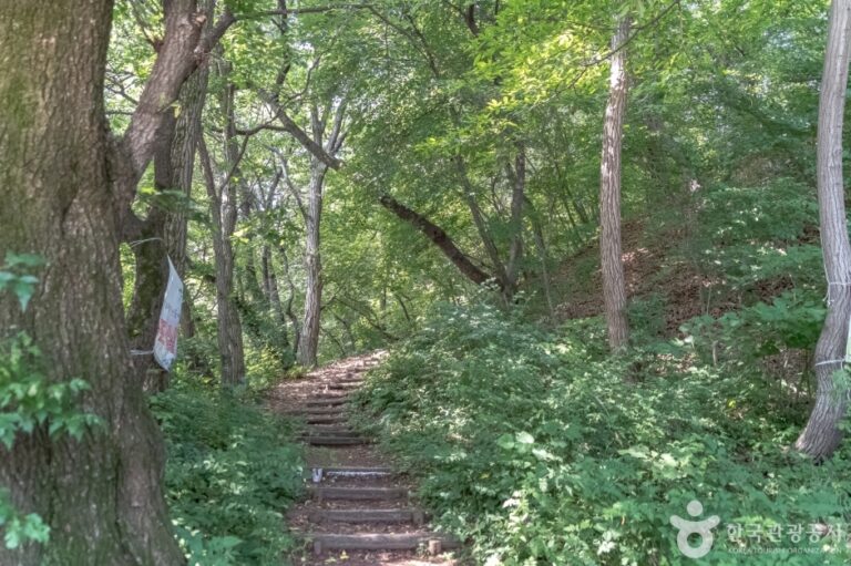 [경기] 광교산체육공원