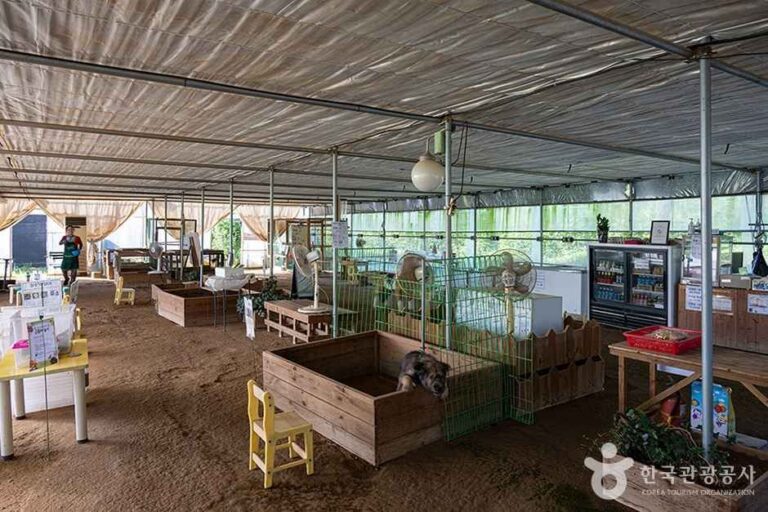 [경기] 찬우물 체험동물농장