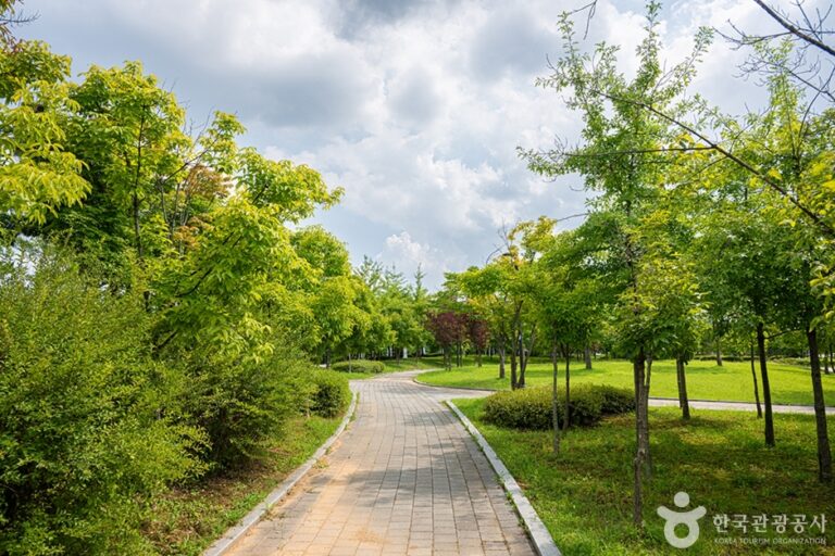 [경기] 화정중앙공원