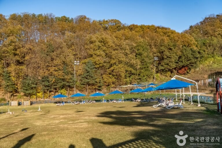 [경기] 양지파인펫파크