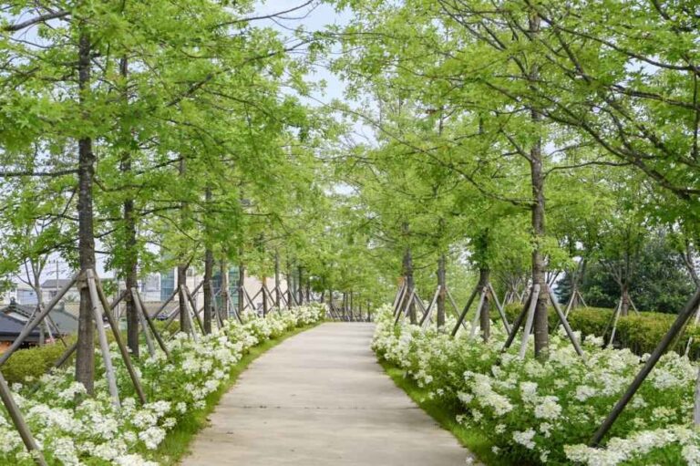 [강원] 치악산 바람길숲