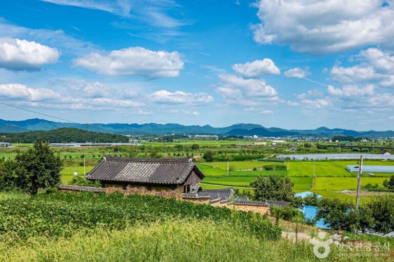 [경북] 속수서원