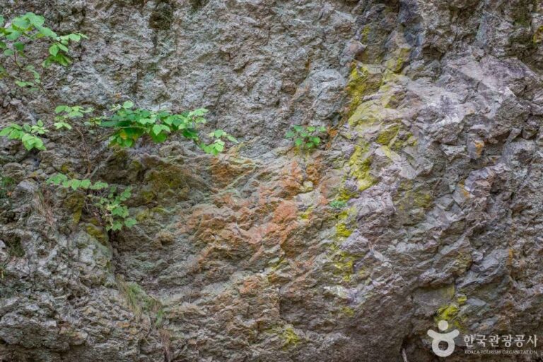 [경북] 주방천 페퍼라이트