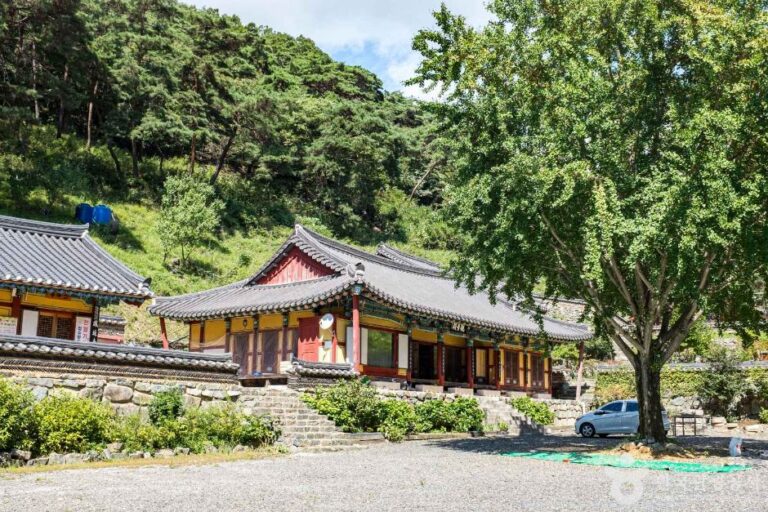 [경북] 봉림사(영천)