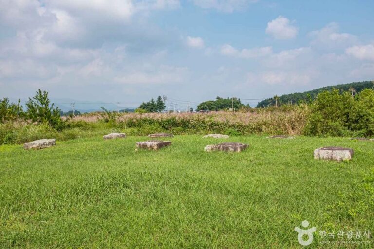 [경북] 경주 망덕사지