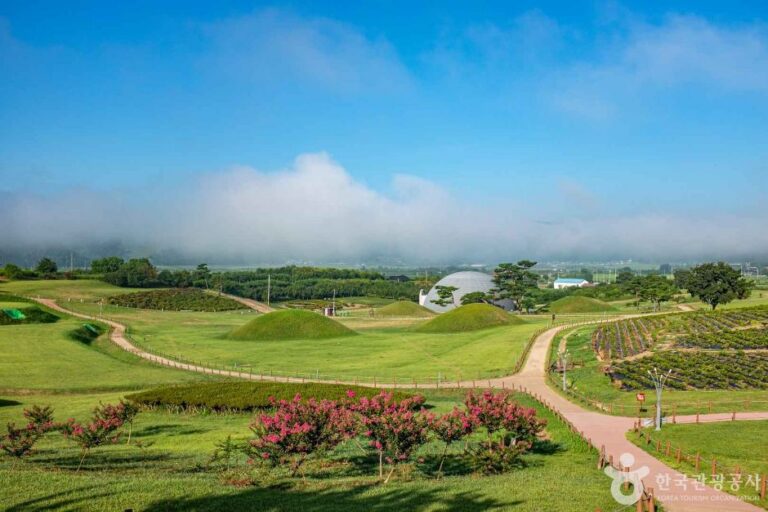 [경북] 의성 경덕왕릉