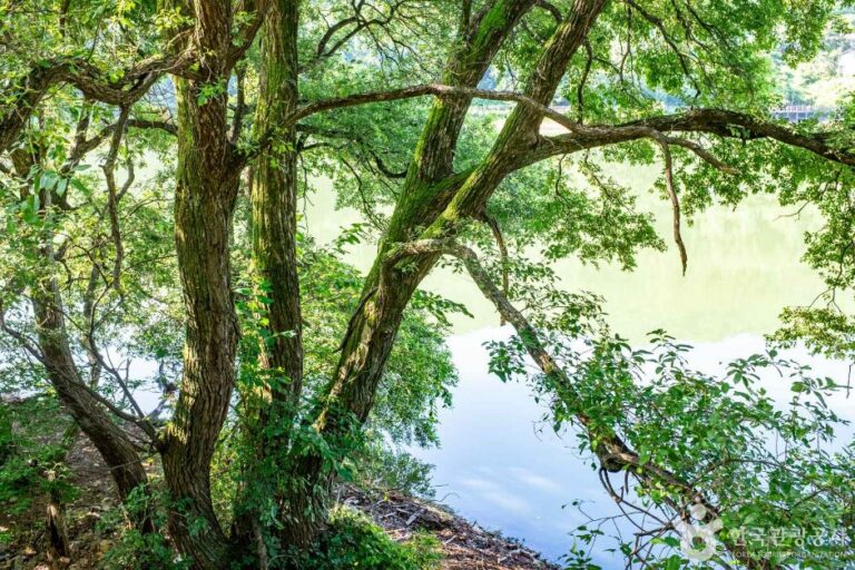 [경북] 유학지 수변공원
