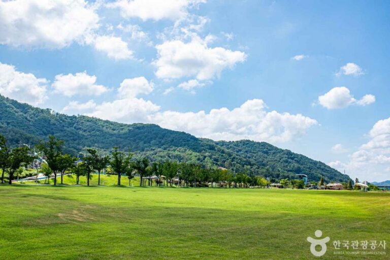 [경북] 칠곡보 생태공원