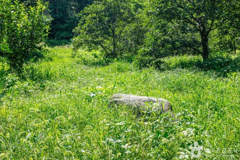 [경북] 상주 금흔리 이부곡 토성