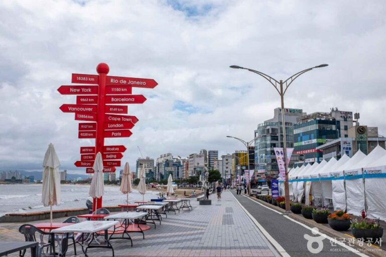 [경북] 포항 해안드라이브