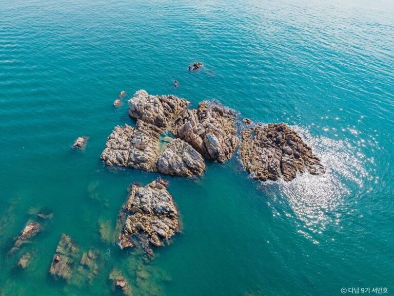 [경북] 경주 문무대왕릉