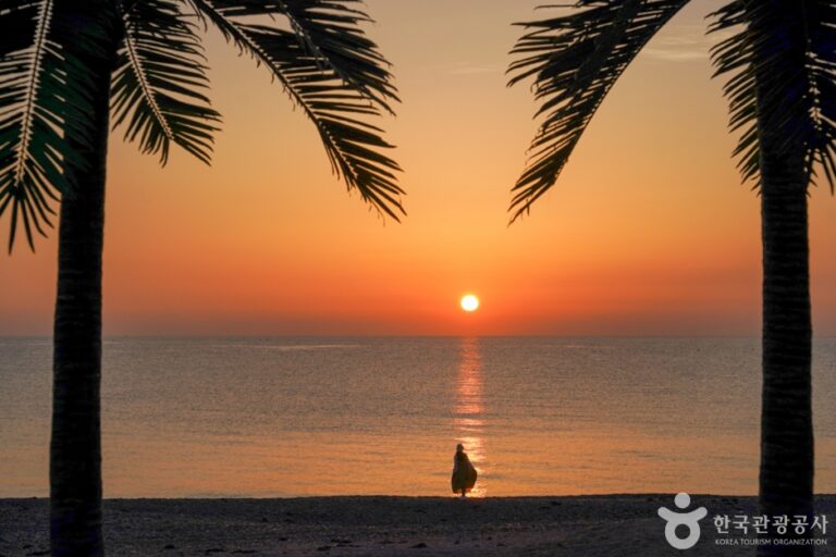 [경북] 오류고아라해변