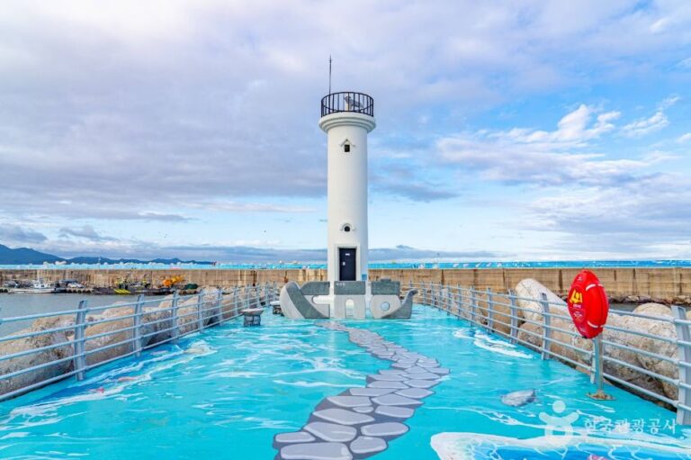 [경북] 대진항(영덕)