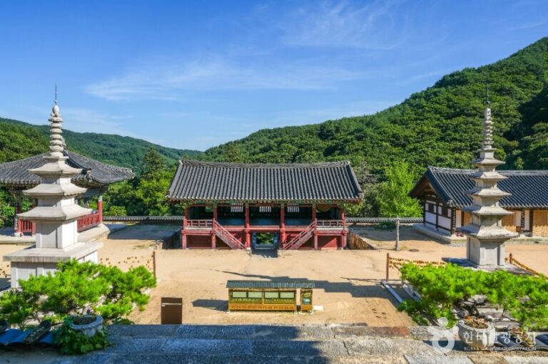 [경북] 용문사(예천)