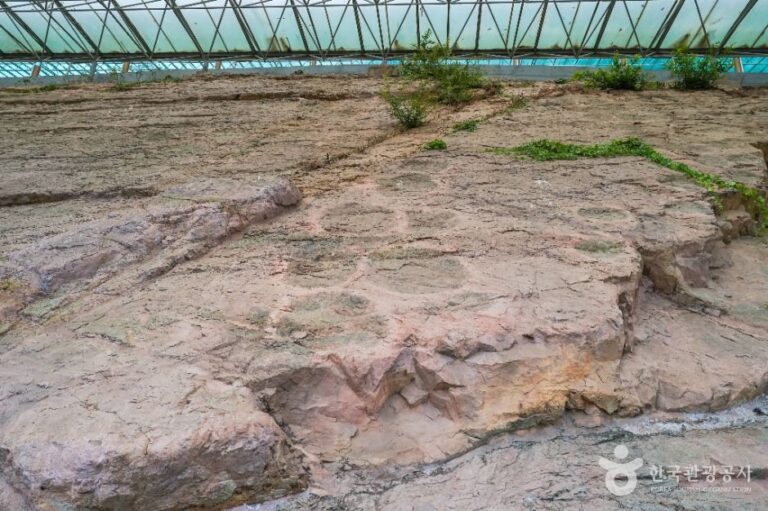 [경북] 의성 제오리 공룡발자국 화석산지