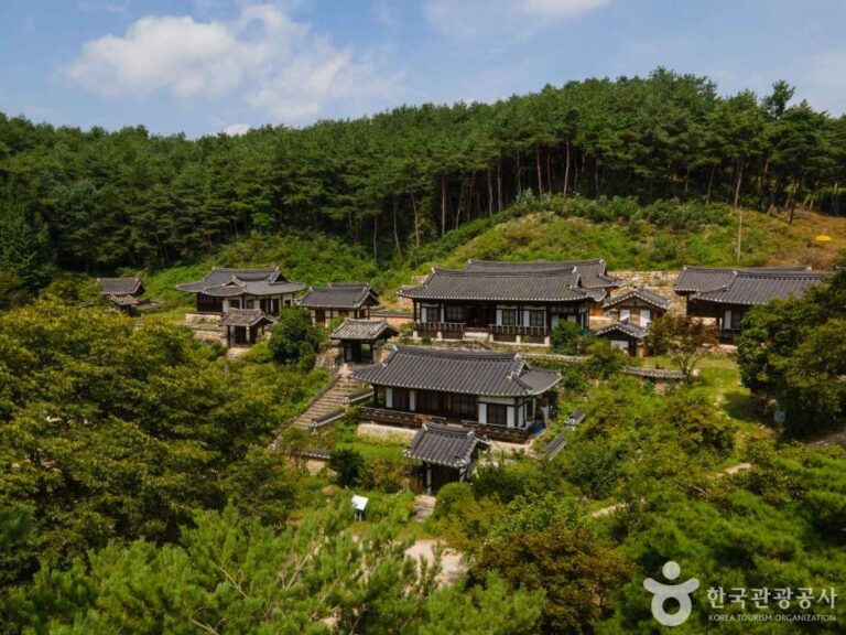 [경북] 안동 군자마을(오천유적지)