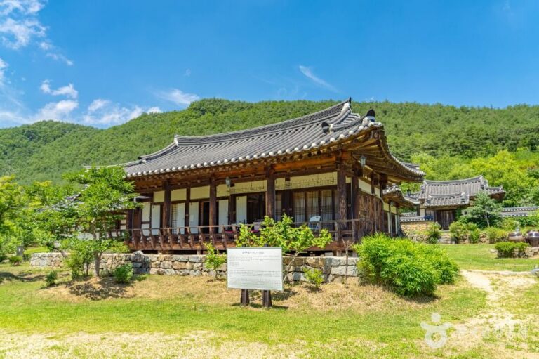 [경북] 농암종택