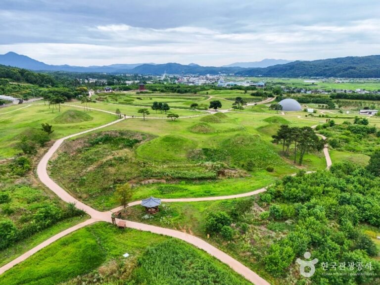 [경북] 의성 금성면 고분군