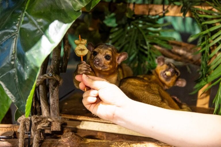 [경북] 주렁주렁 경주점