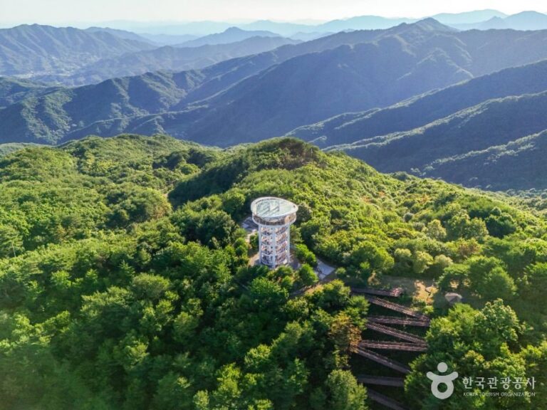 [경북] 소백산하늘자락공원