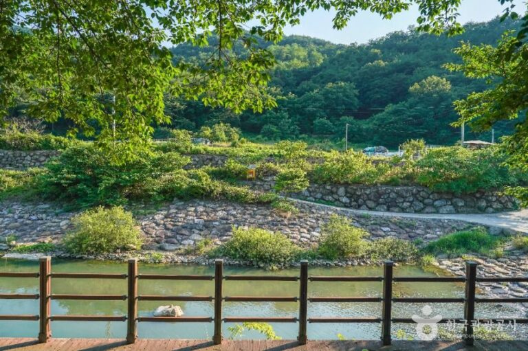 [경북] 미천공원