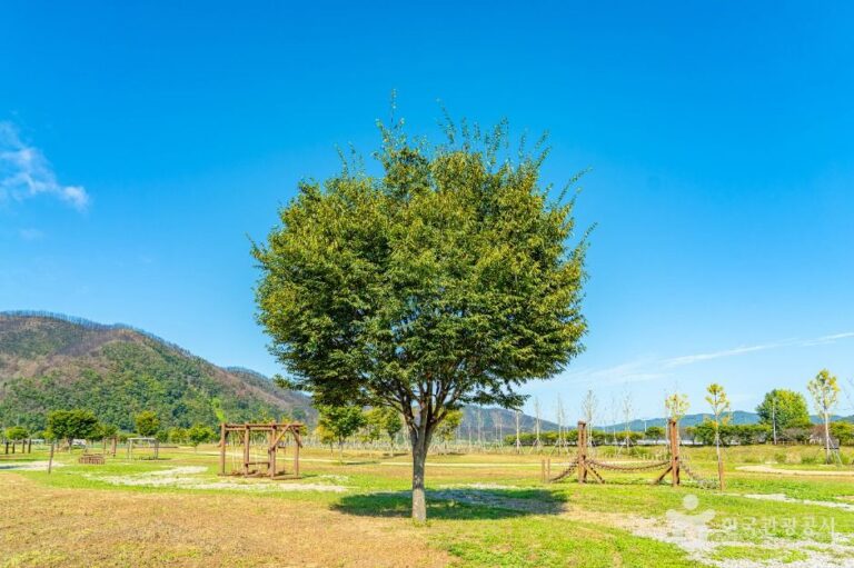 [경북] 금소생태공원