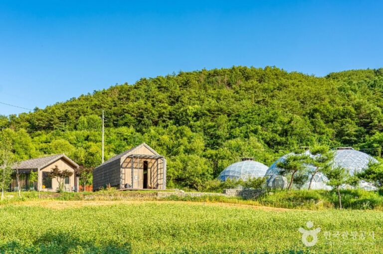 [경북] 맹개마을