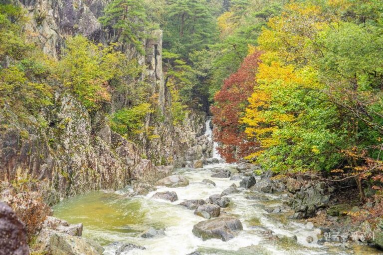 [경북] 하옥계곡