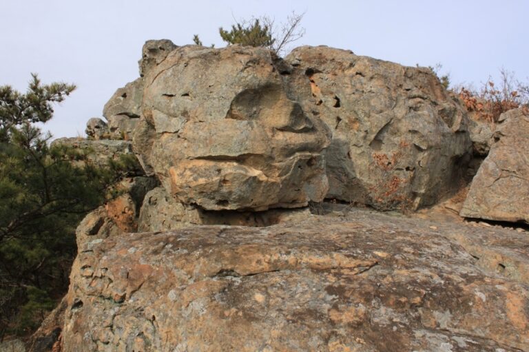 [경북] 철암산 화석산지 (경북 동해안 국가지질공원)
