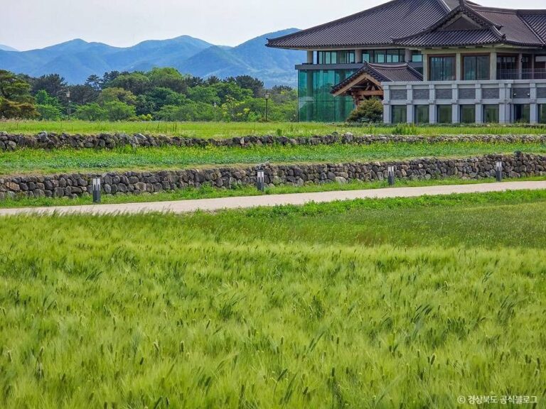 [경북] 경주 황룡사지
