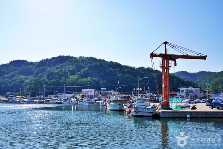 [경북] 경정마을(차유어촌체험마을)