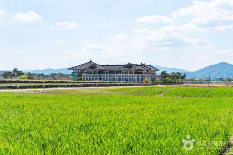 [경북] 분황사 청보리밭