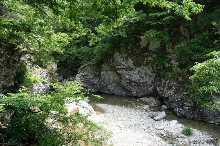[경북] 노루용추 계곡 (청송 국가지질공원)