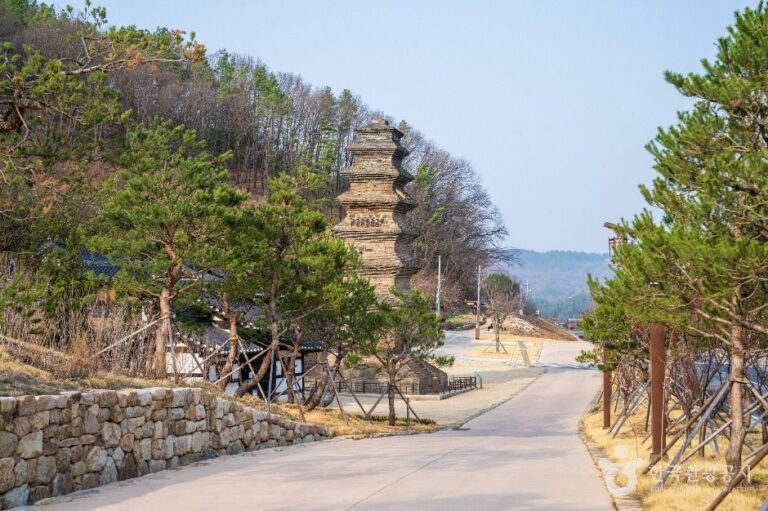 [경북] 안동 법흥사지 칠층전탑
