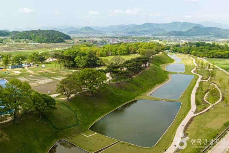 [경북] 경주 월성