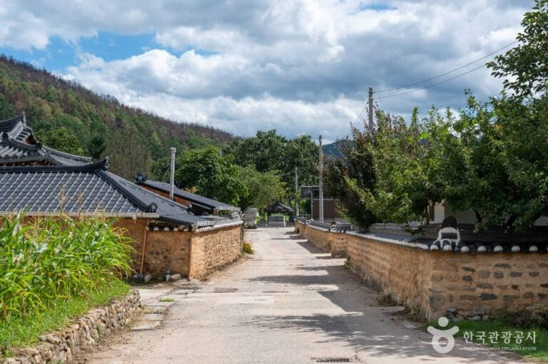 [경북] 청송 덕천마을
