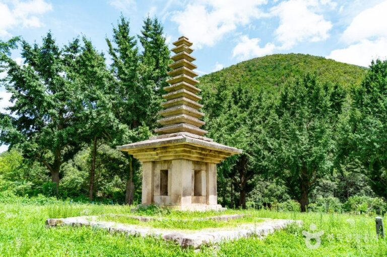 [경북] 경주 정혜사지 십삼층석탑