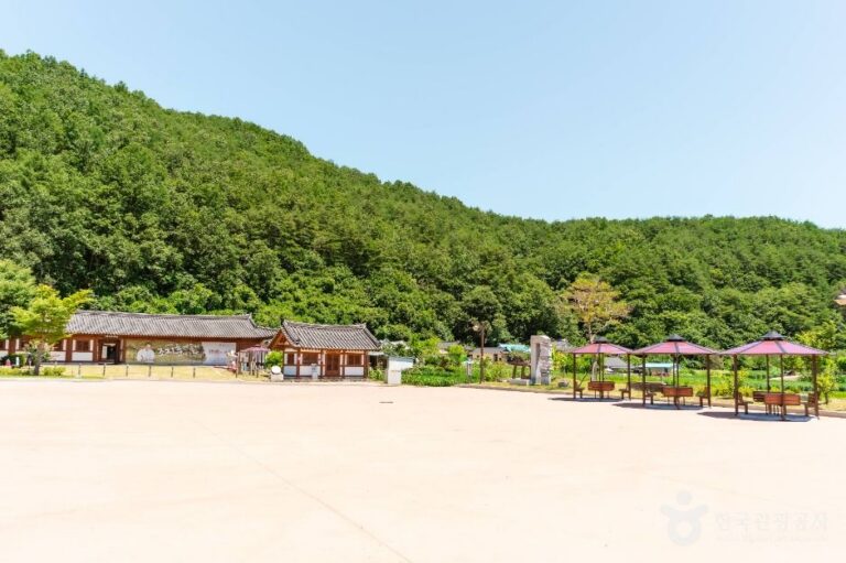 [경북] 영양 주실마을