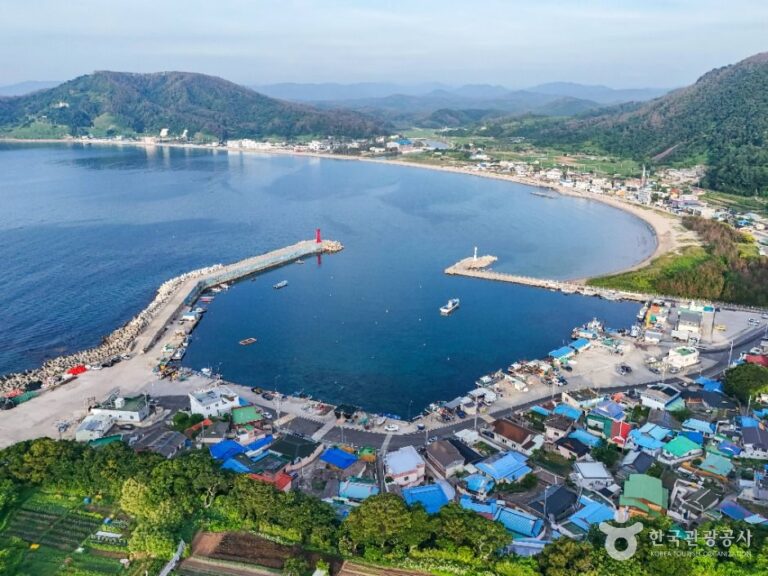 [경북] 모포항