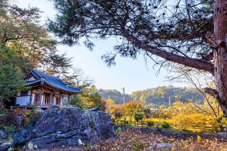 [경북] 주암정