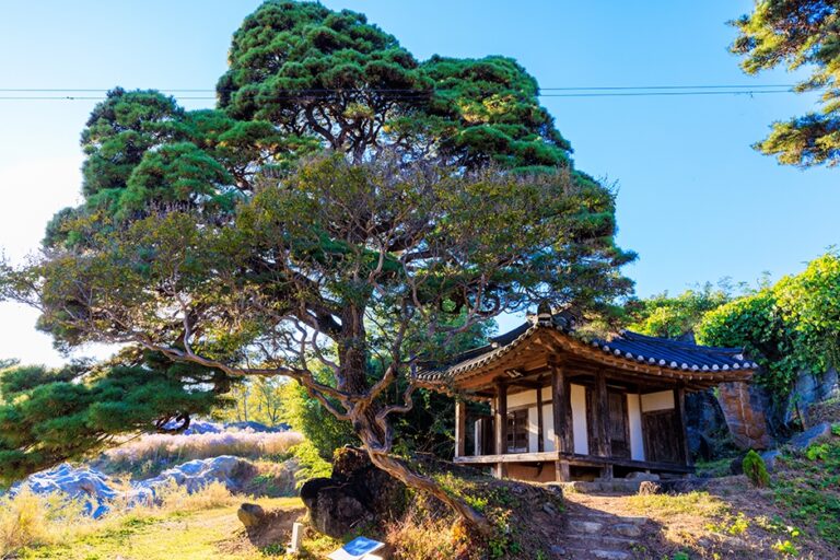 [경북] 봉천사
