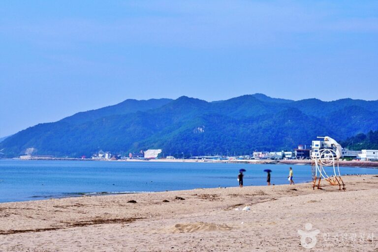 [경북] 후포해수욕장