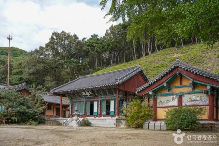 [경북] 수다사(구미)