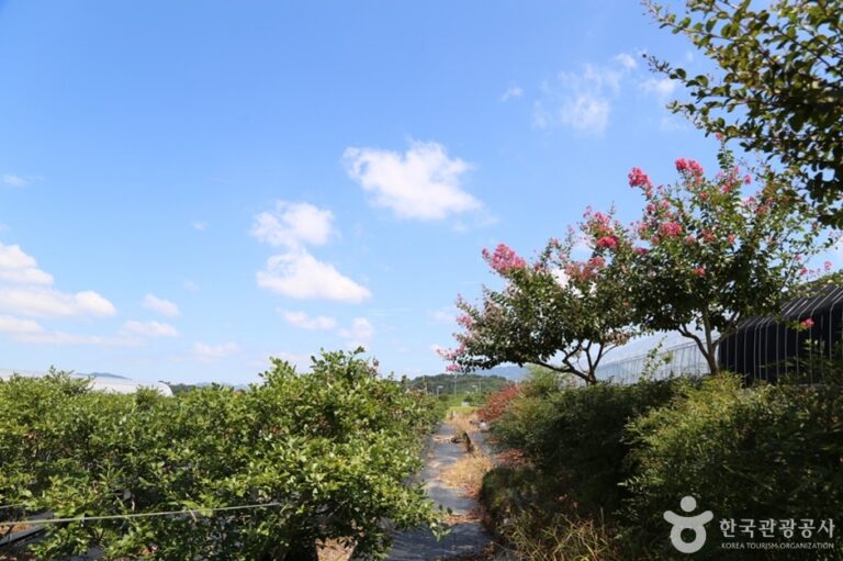 [부산] 두루팜