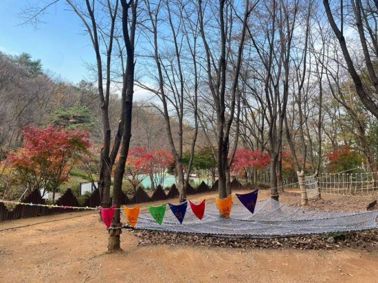 [경기] 청사초롱 유아숲체험원