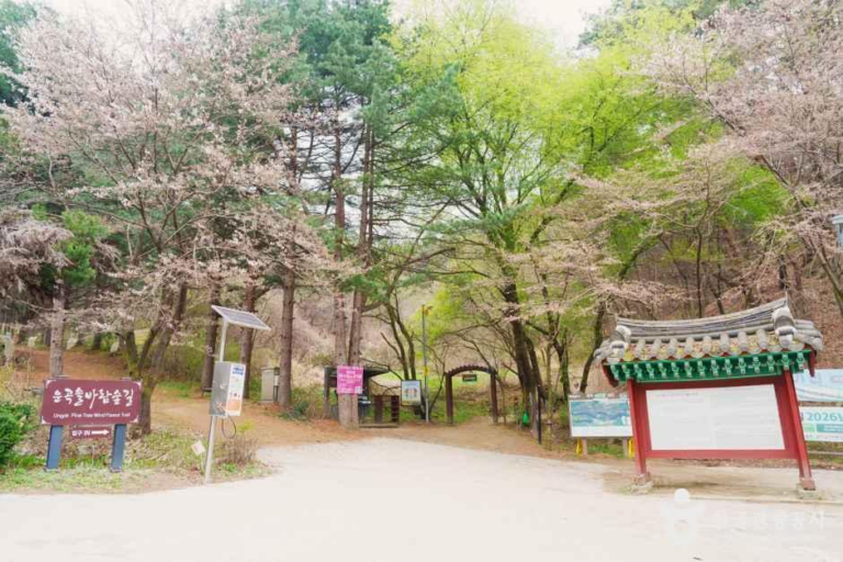[강원] [원주 소풍길] 1코스 운곡솔바람숲길