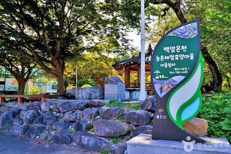 [경북] 울진 백암온천마을