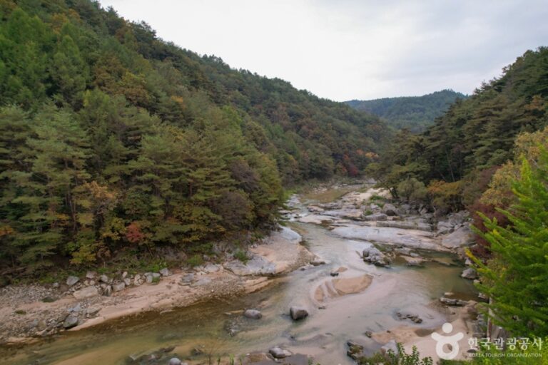 [경북] 사미정계곡