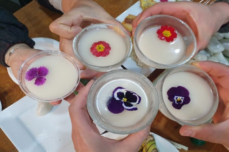 [경북] 주티스트